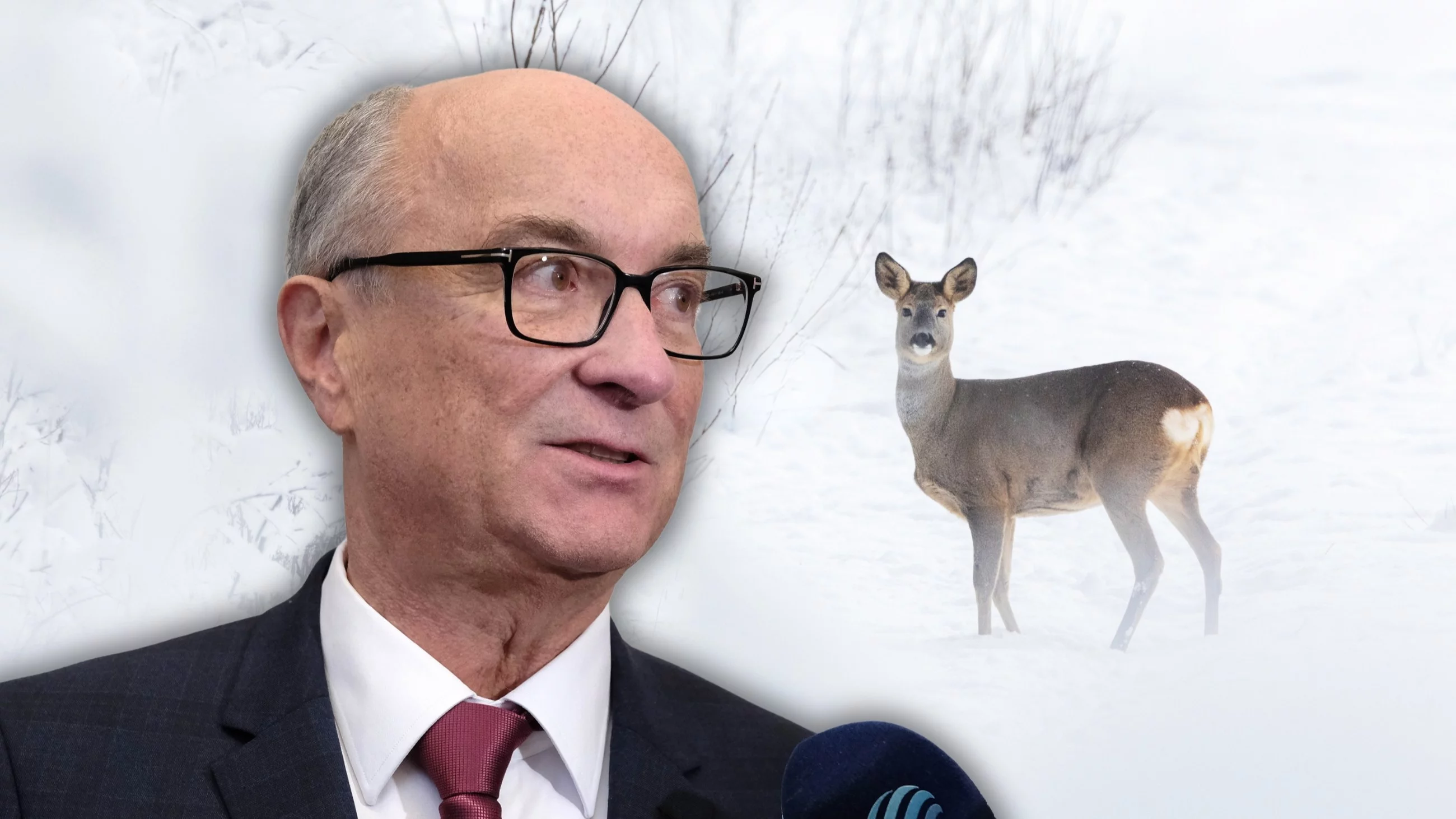 Włodzimierz Czarzasty i sarna