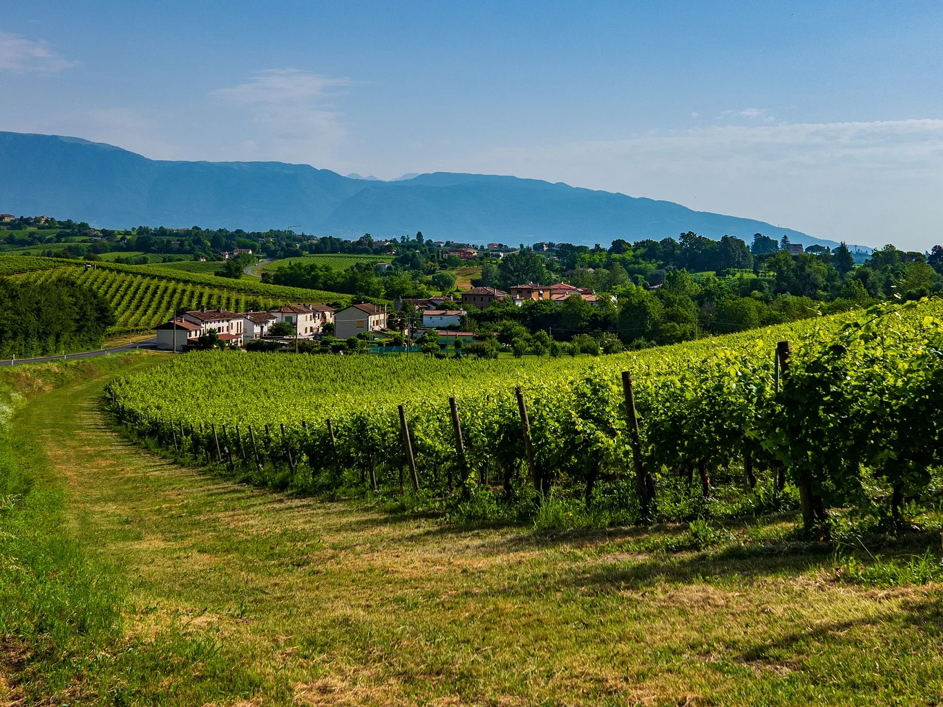 Winnica