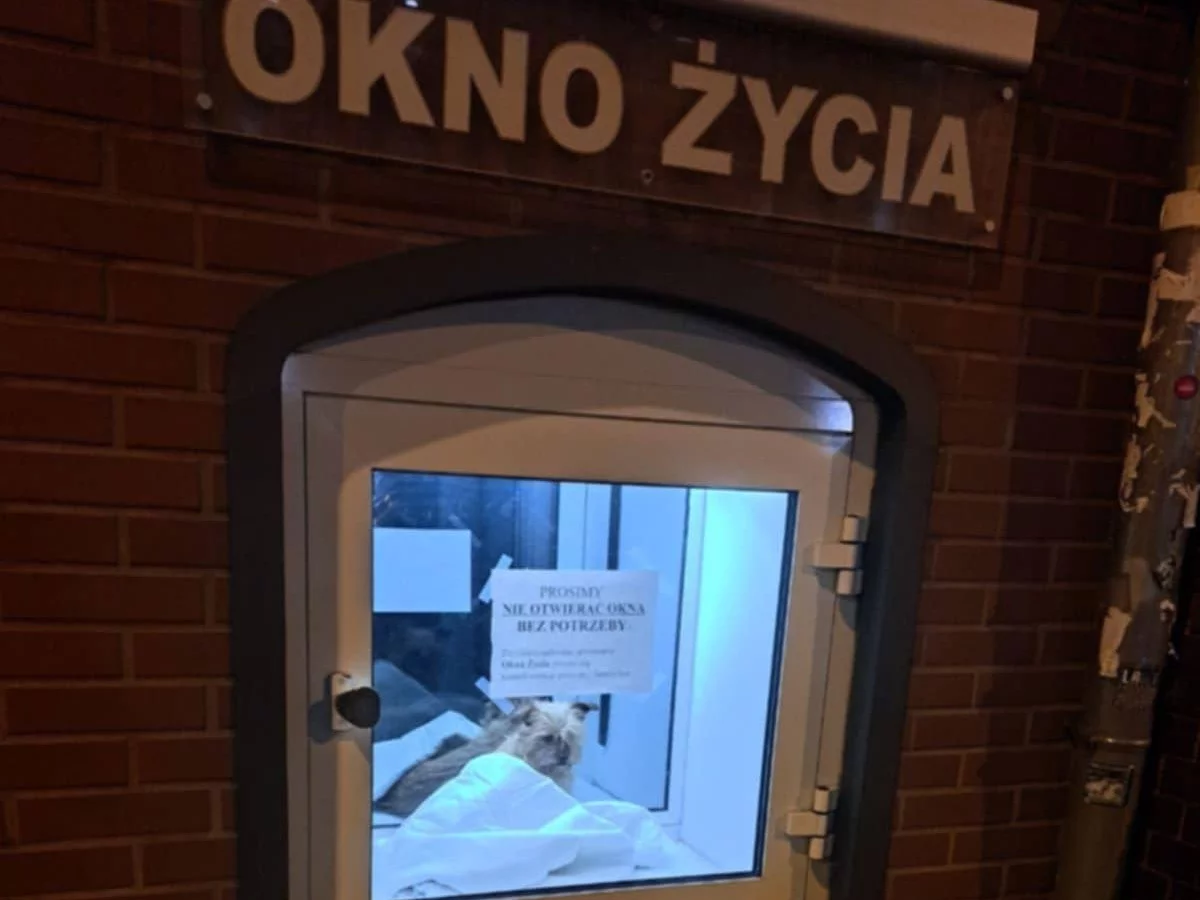 Okno życia we Wrocławiu