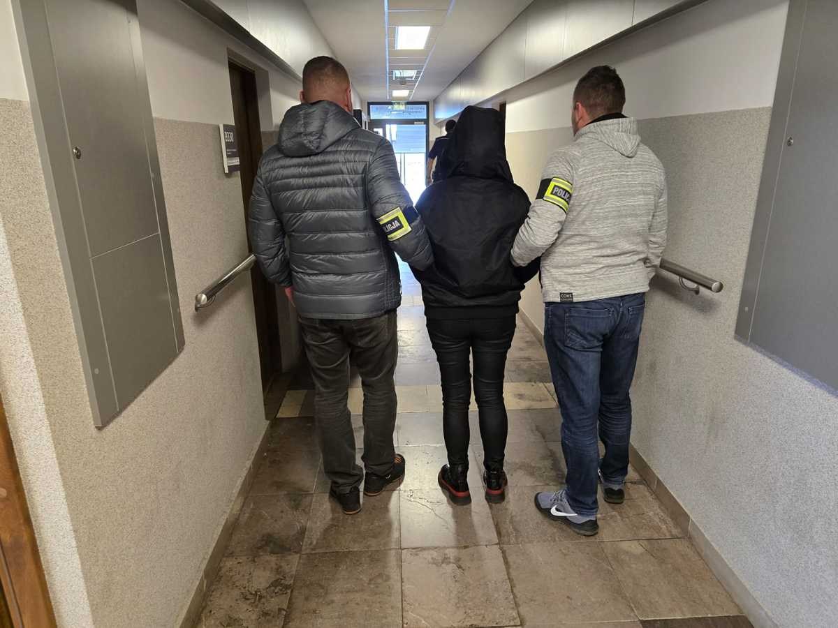 Wyłudziły prawie 40 mln zł na edukację. 13 dyrektorek zatrzymanych