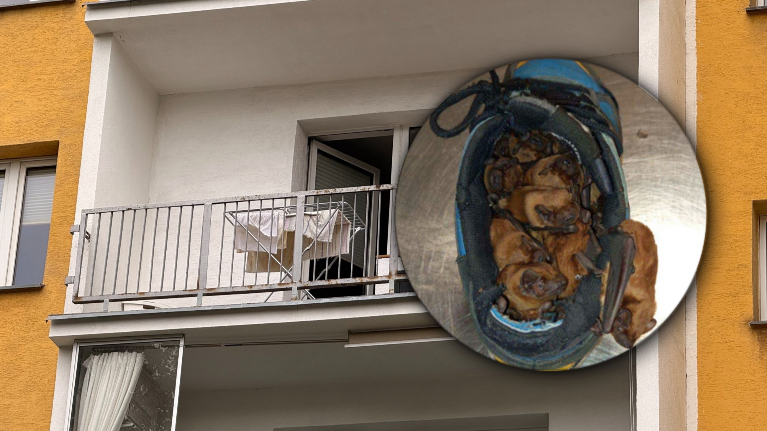 Wyszedł na balkon i zobaczył to. Natychmiast zadzwonił po służby