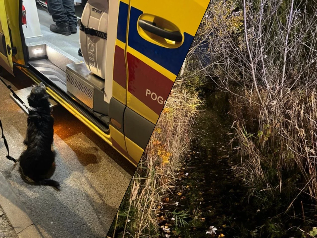 Wyszedł z psem i przepadł. Wierny pies bohaterem akcji ratunkowej