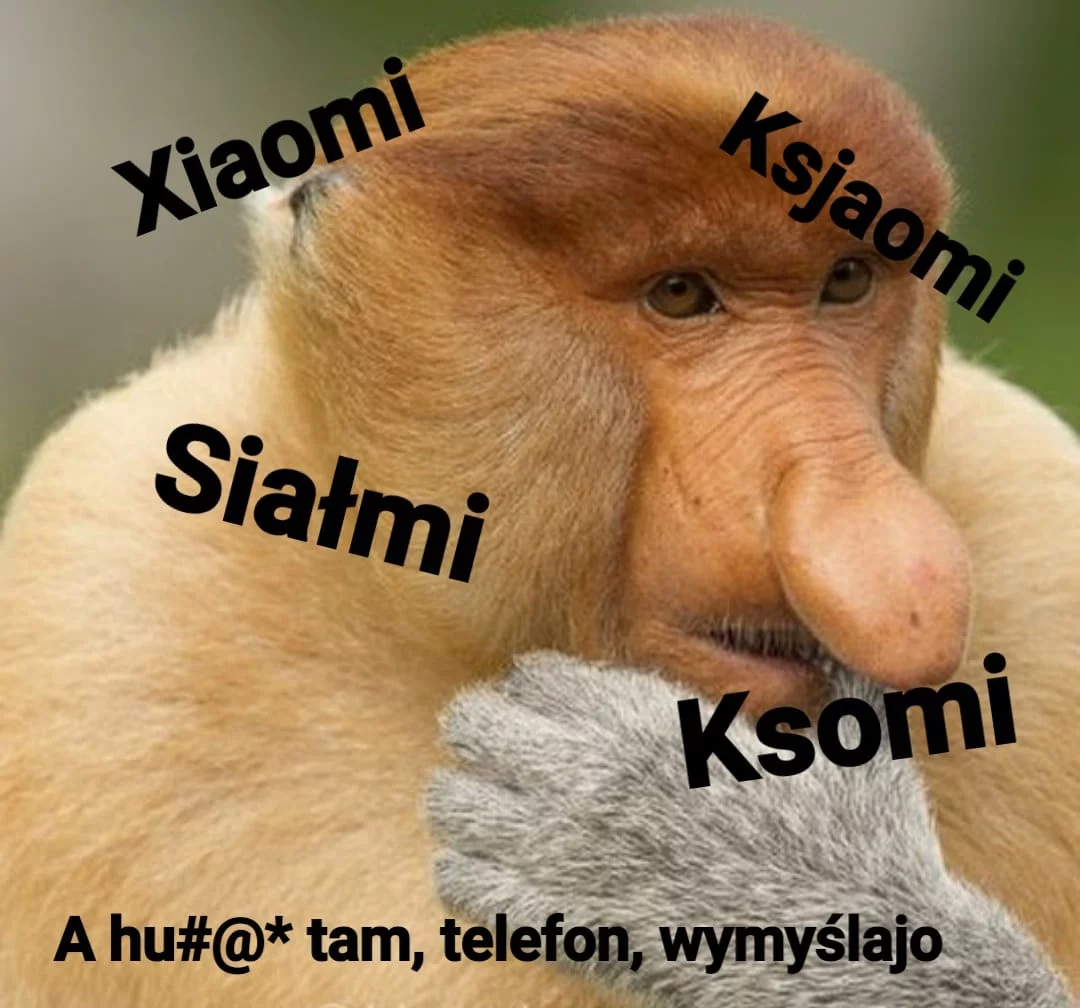 Mem z nosaczem i Xiaomi