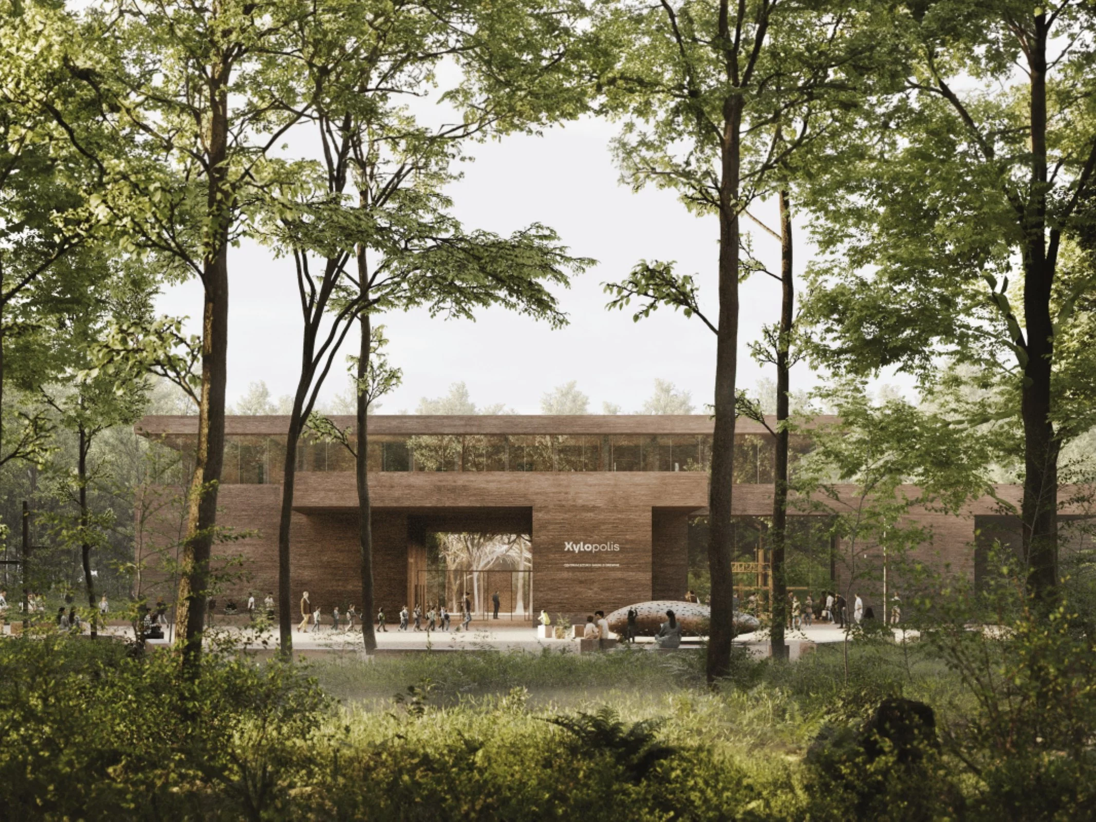 Xylopolis „Brama do Puszczy – zwycięski projekt pracowni WXCA na Centrum Sztuki i Nauki o Drewnie w Hajnówce, zaprojektowany z myślą o harmonijnym połączeniu architektury z krajobrazem Puszczy Białowieskiej