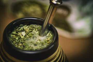 Yerba mate