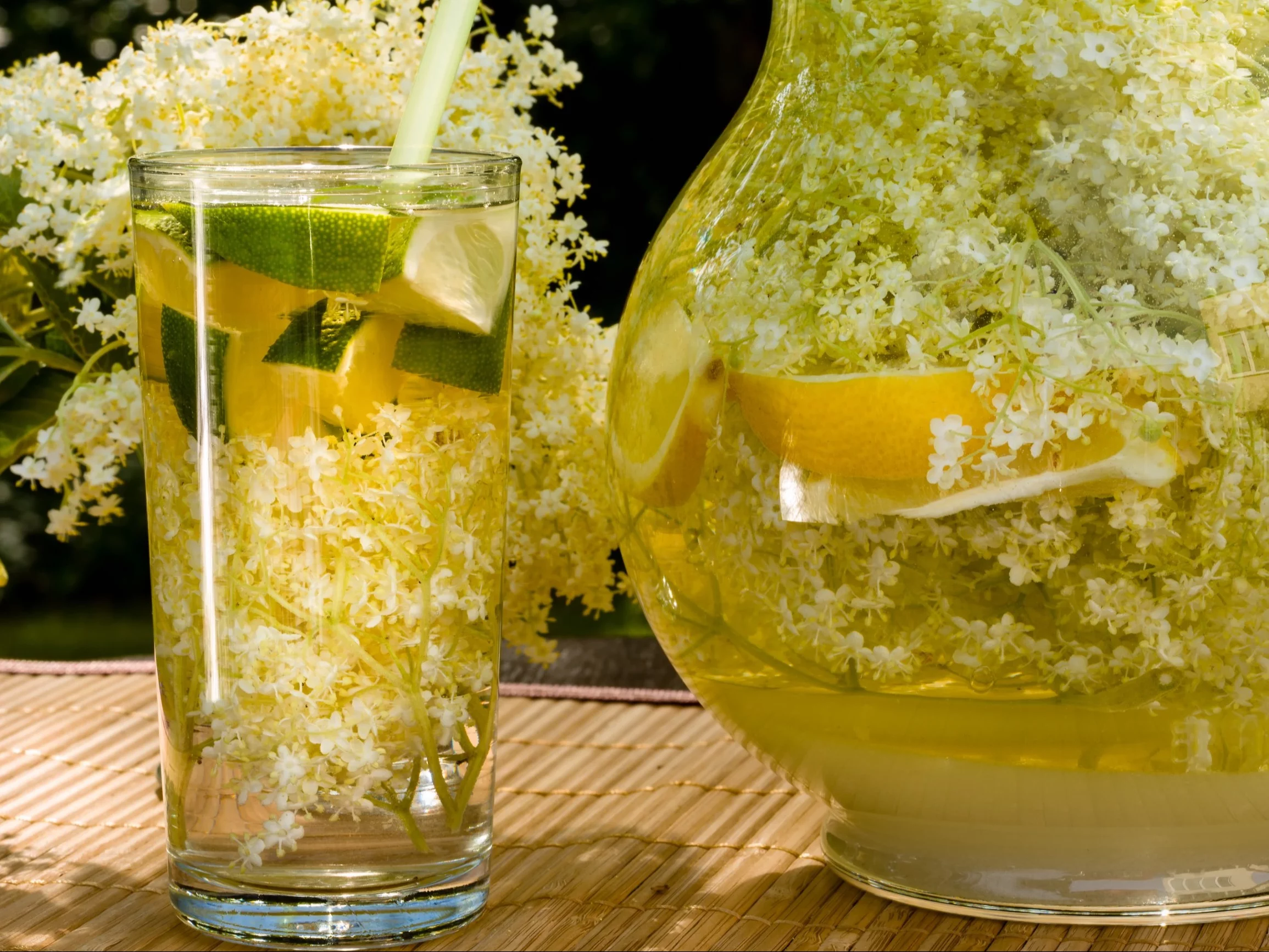 Lemoniada z kwiatów czarnego bzu