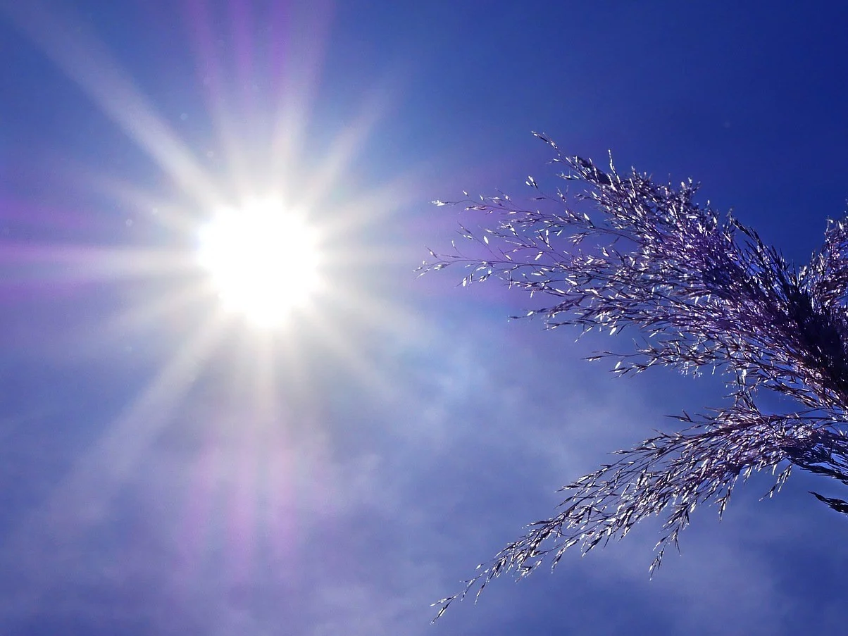 Za kilka dni zrobi się ciepło. Polacy przypomną sobie o lecie
