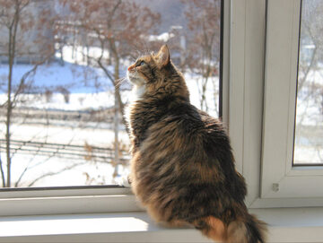 Za oknem śnieg i mróz? Jeśli nie ma alarmu smogowego, otwieraj okna także zimą!
