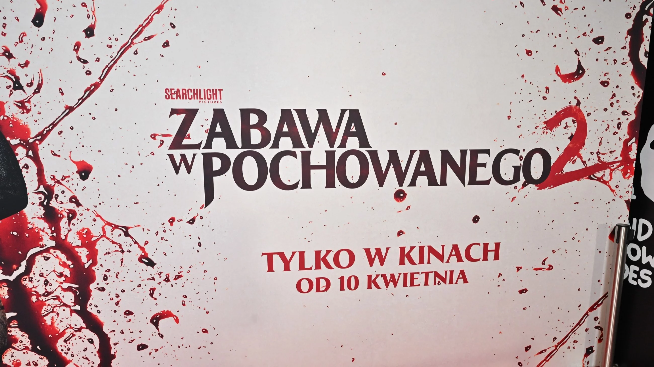„Zabawa w pochowanego 2”