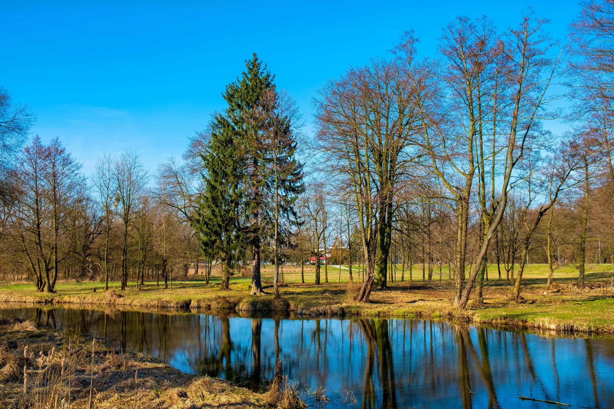 Park Zdrojowy w Konstancinie-Jeziornie, zdj. ilustracyjne