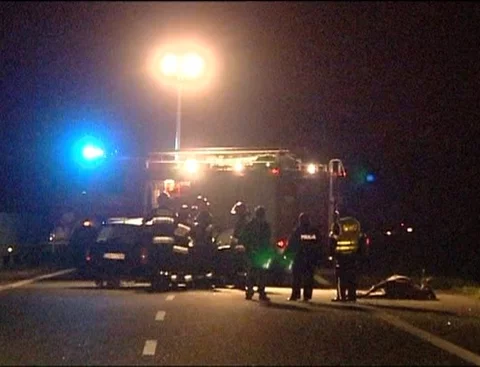 Na drodze krajowej nr 10 samochód zderzył się z łosiem (fot. TVN24/x-news.pl)