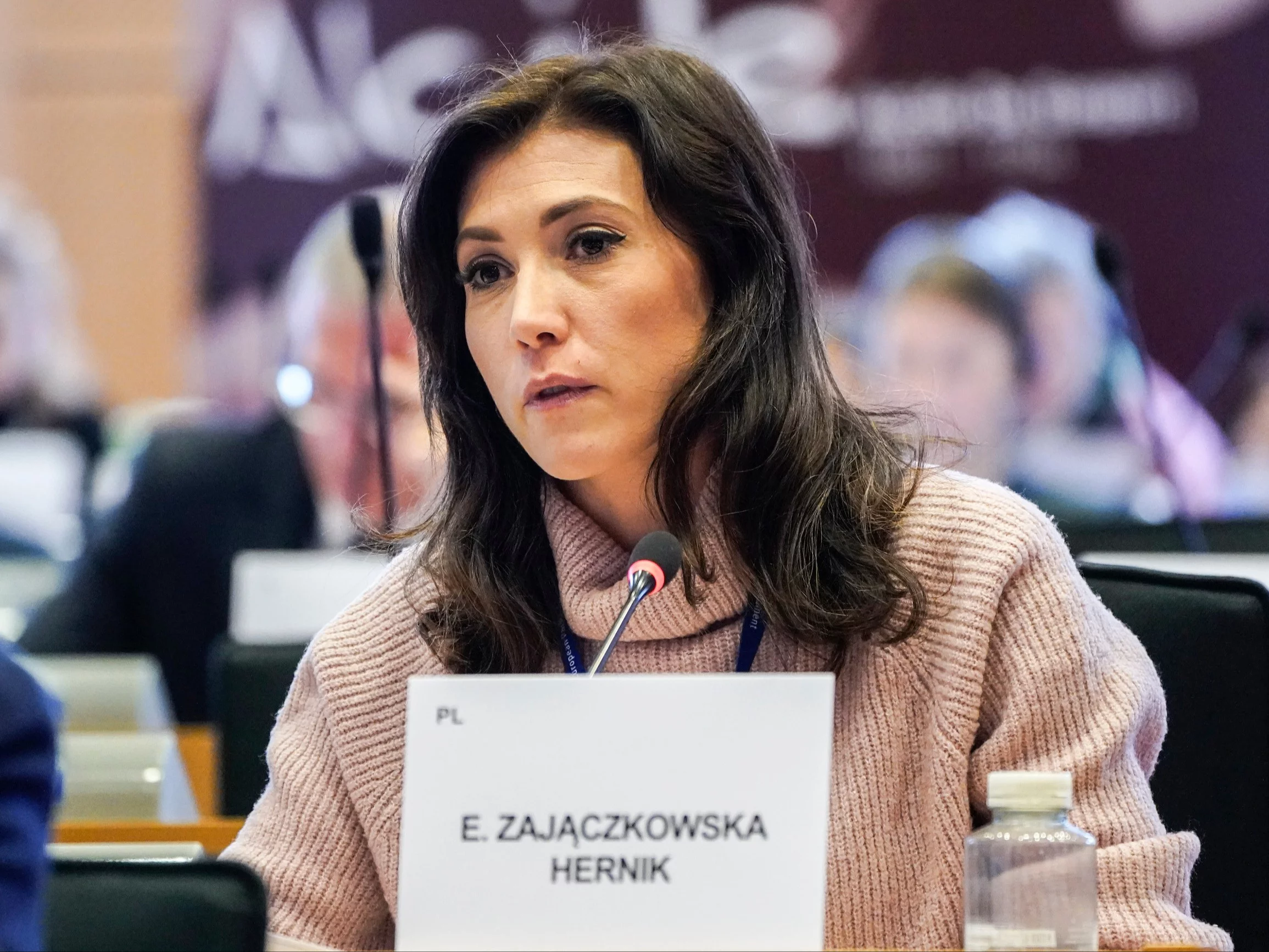 Zajączkowska-Hernik straszy o setkach tysięcy imigrantów. Rząd uspokaja