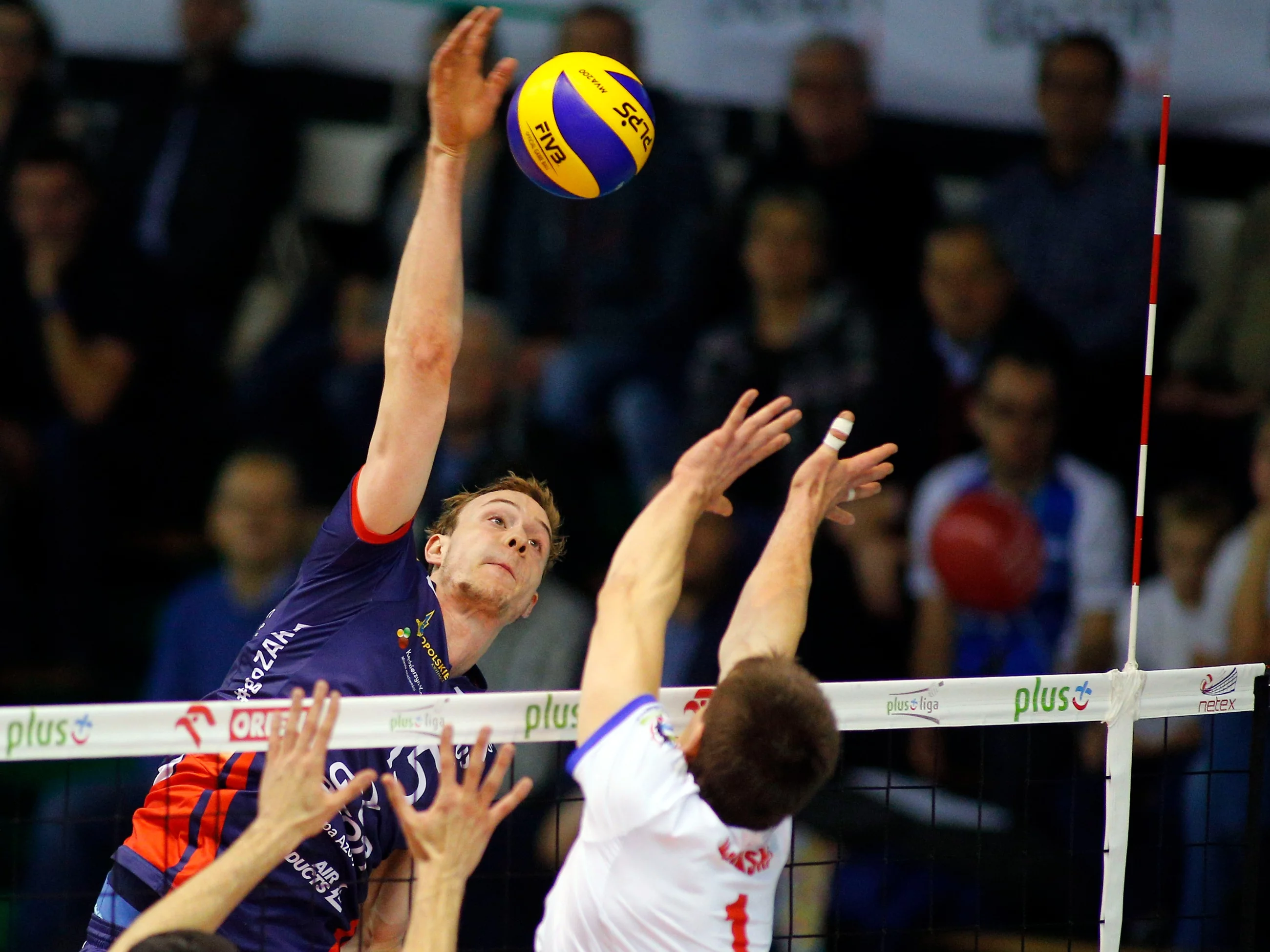 ZAKSA Kędzierzyn-Koźle - Jastrzębski Węgiel