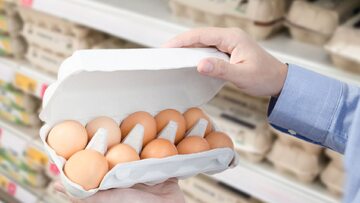 Zakup jajek, zdjęcie ilustracyjne