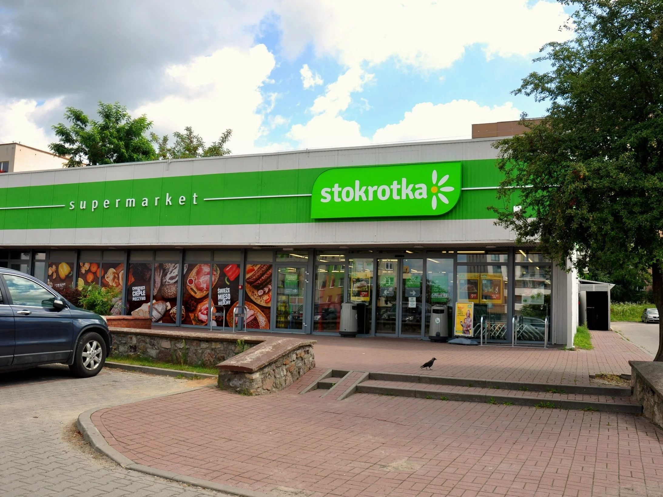 Stokrotka