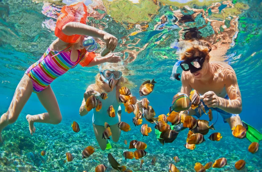 Urlopowicze w czasie snorkelingu