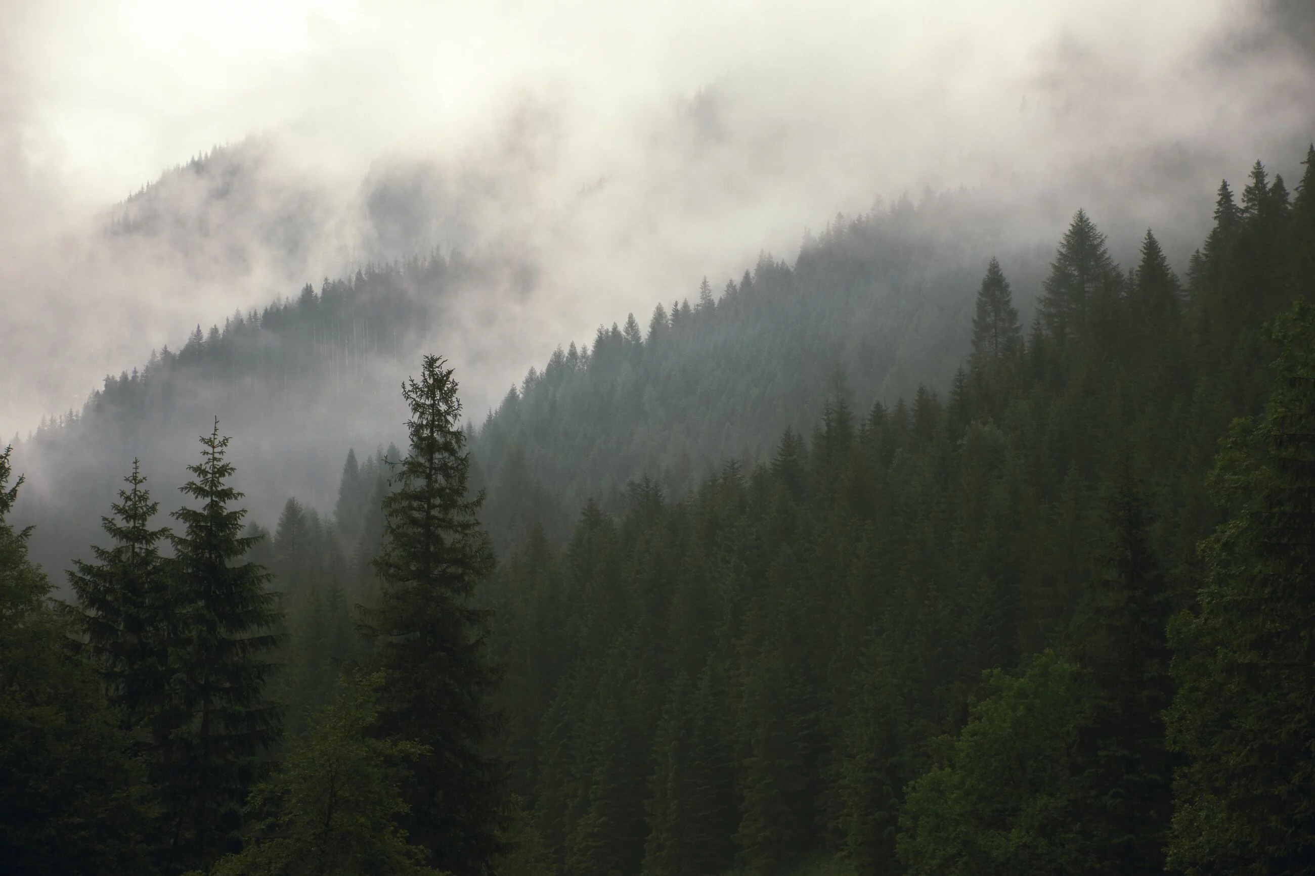 Tatry, zdj. ilustracyjne