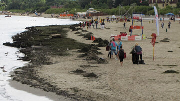 Zanieczyszczona plaża nad Zatoką Gdańską