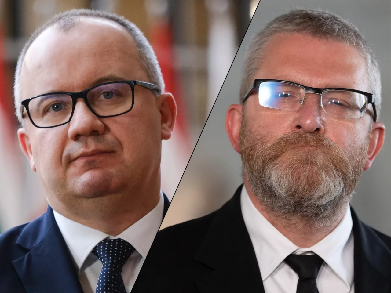 Adam Bodnar, Grzegorz Braun