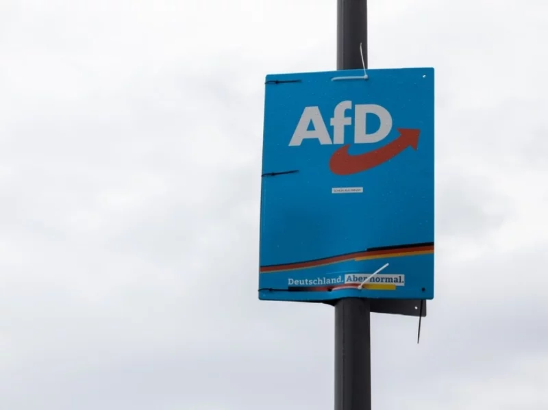 Plakat wyborczy AfD. Zdjęcie poglądowe.