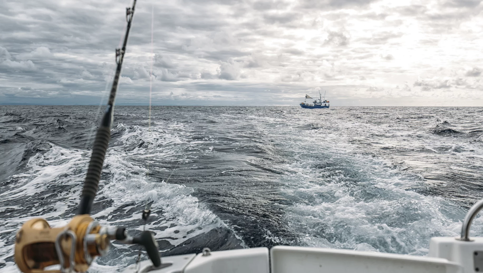 Połów ryb, łódź rybacka