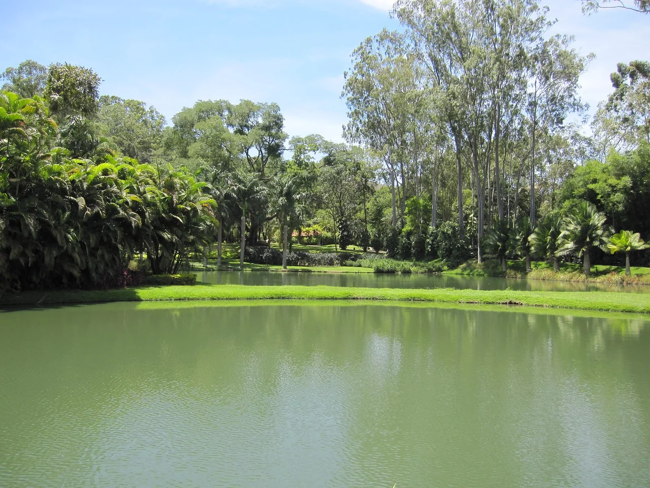 Brumadinho