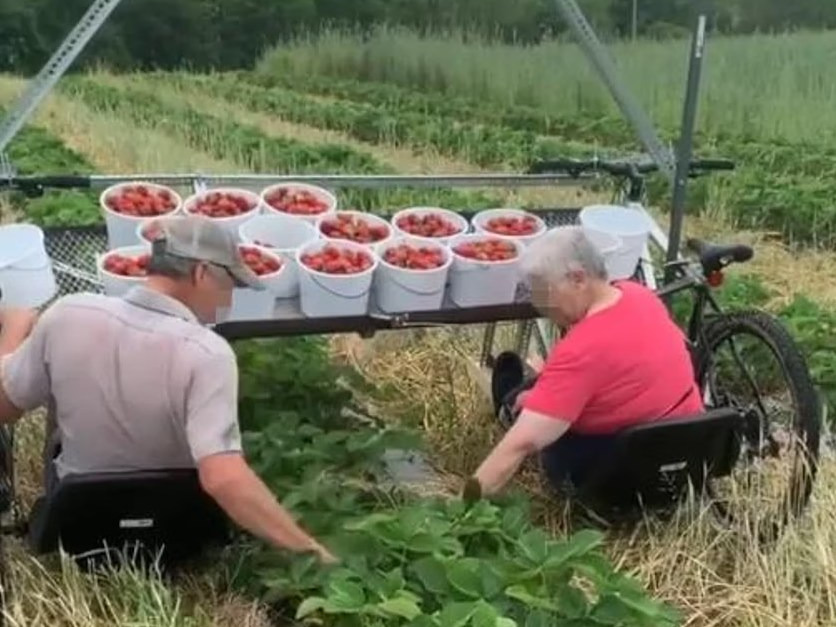 Niezwykły wynalazek stał się hitem internetu. Proste rozwiązanie odwiecznego problemu