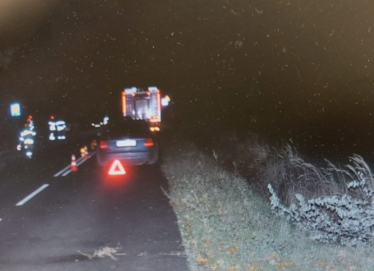 Zderzyła się z łosiem. Potem w jej auto wjechało audi