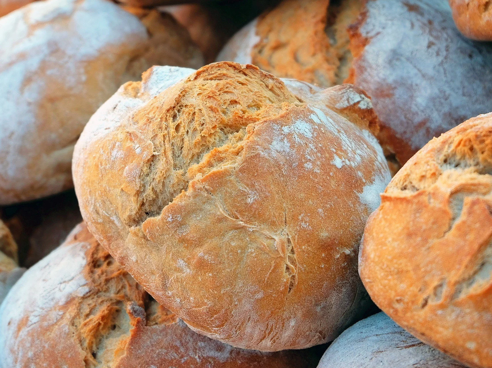 Ekspert wybrał 5 najlepszych bułek z Biedronki. Numer 1 ma tylko 166 kcal