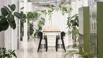 Zielone biuro, projekt KURZ architects