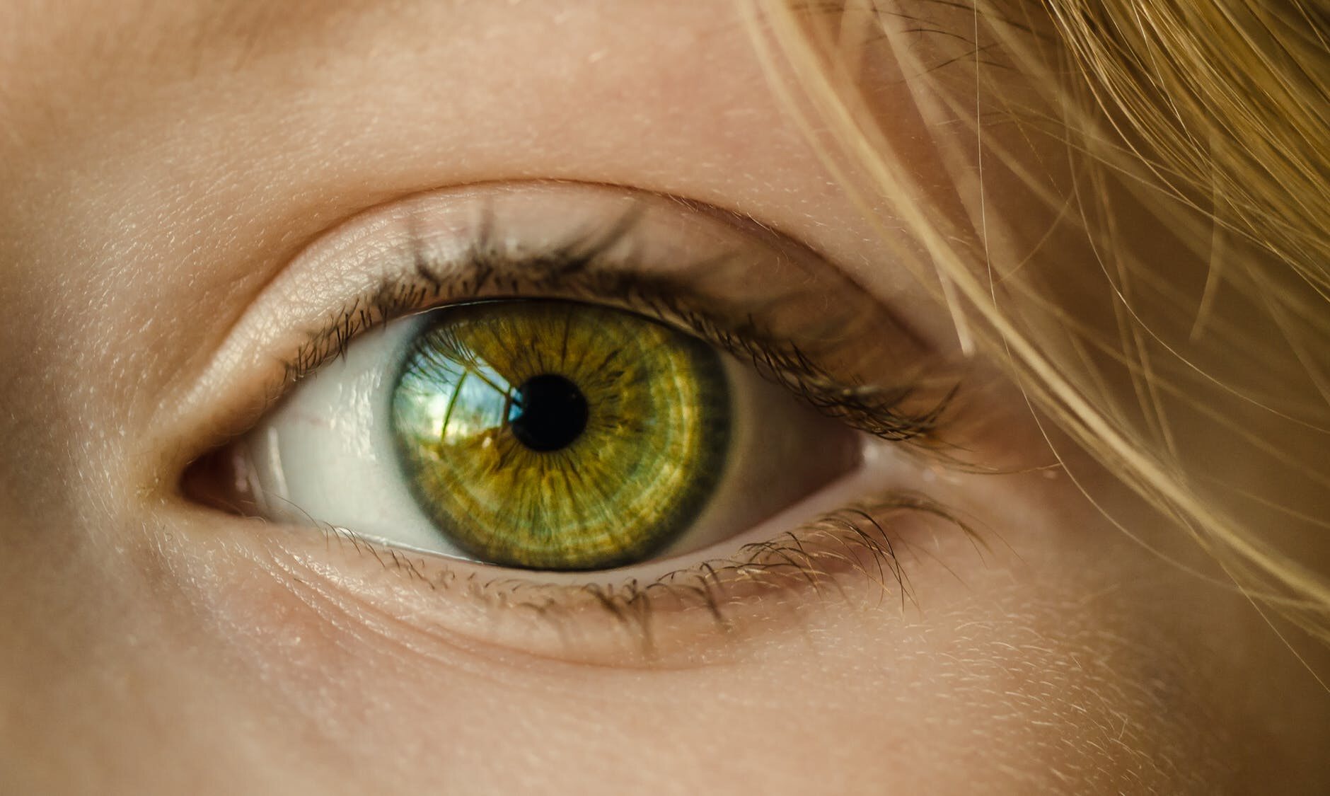 Zielone oczy, zdjęcie ilustracyjne