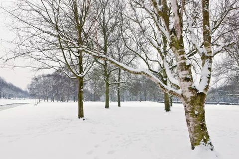 Jest mroźno, będzie gorzej (fot. sxc.hu)