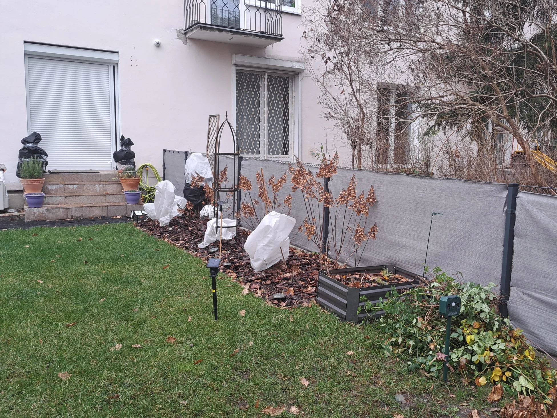 Zimowe osłony młodych drzewek i krzewów