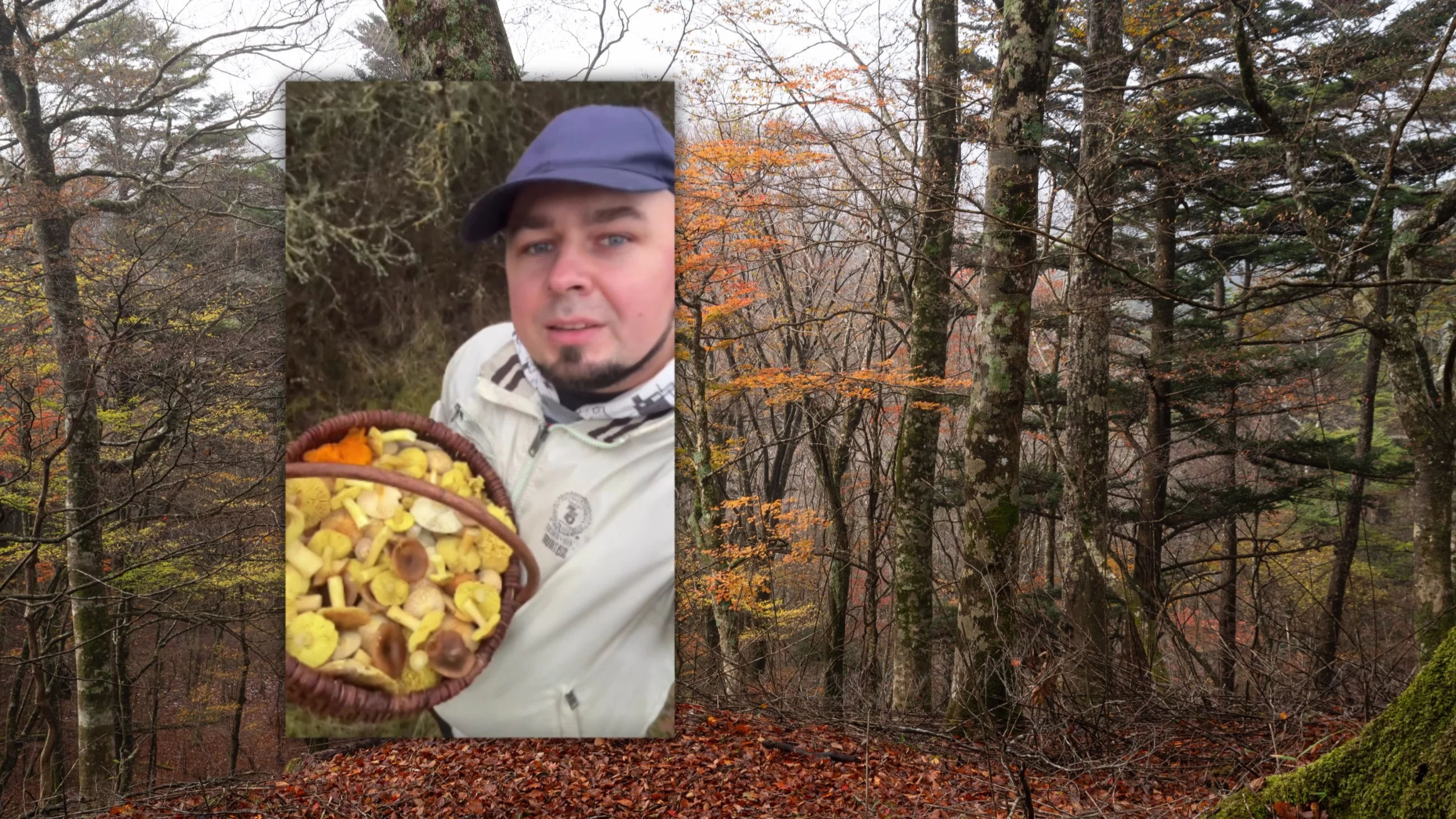 Grzybiarzwlesie udowadnia, że sezon na grzyby się nie zakończył