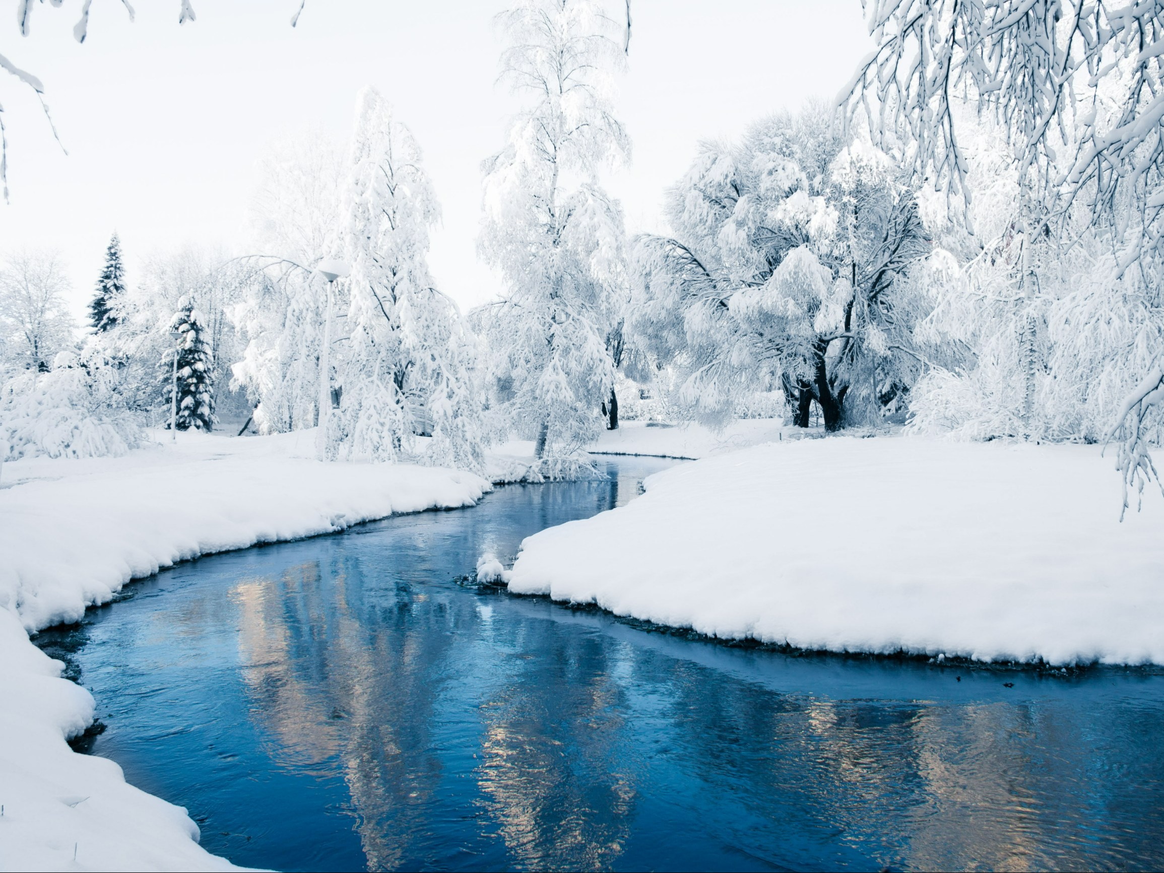 Quiz z wiedzy ogólnej