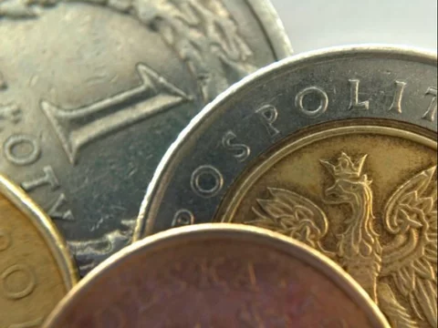 Złoty umocnił się do euro