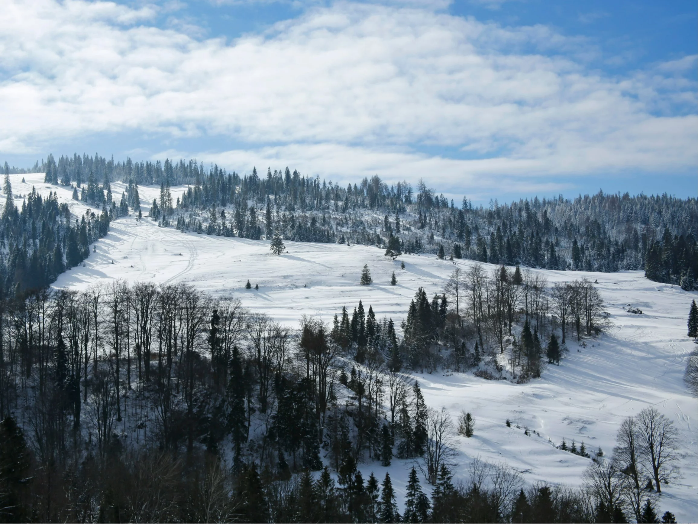 Szczawnica