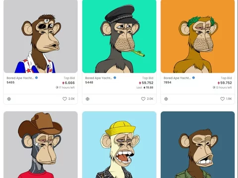 Bored Ape Yacht Club przekazał 2 mln dolarów Ukrainie