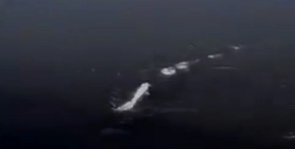 Zobaczył na rzece dziwny obiekt, internauci snuli domysły. Co widać na nagraniu?