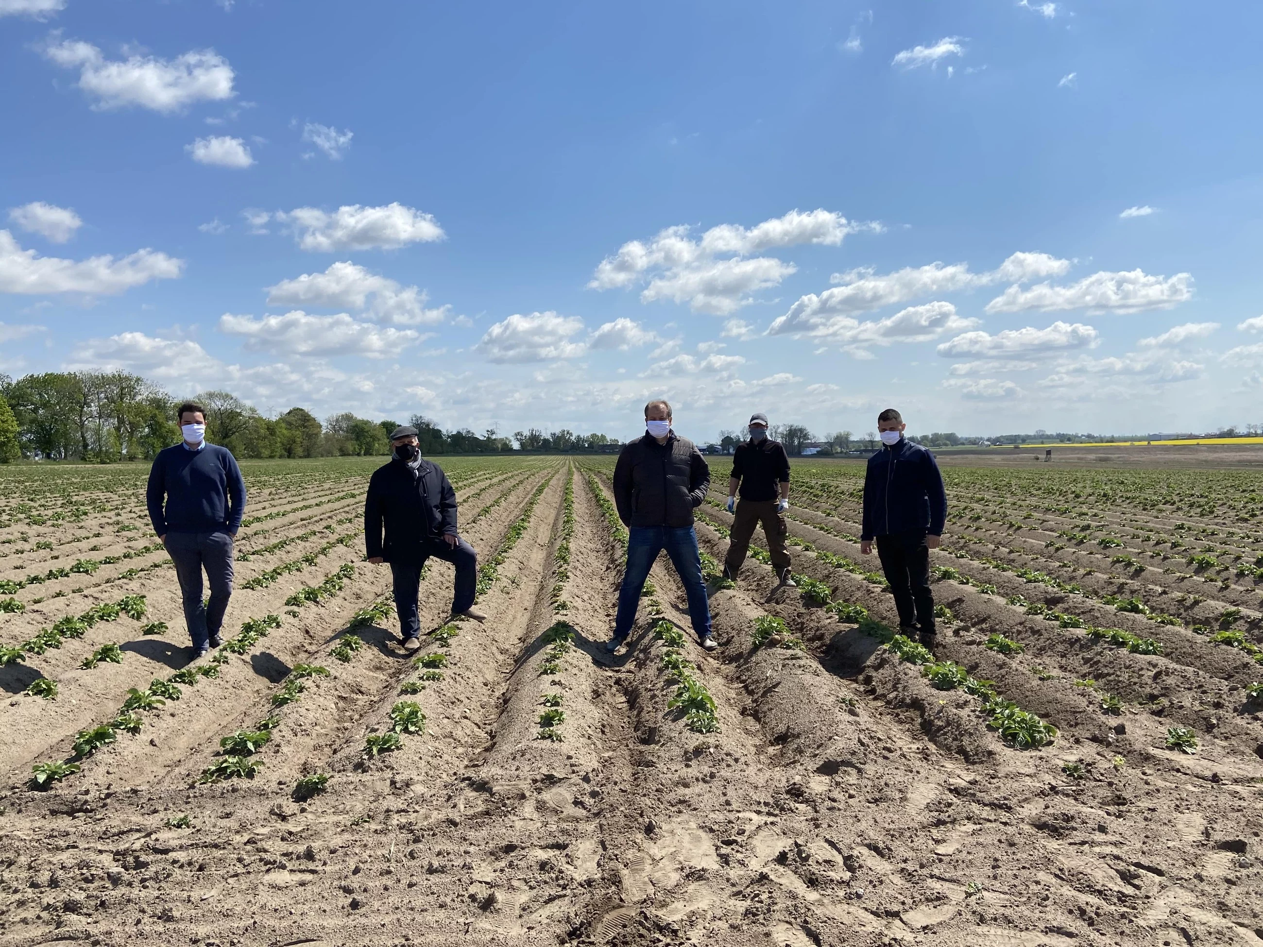 Plantatorzy ziemniaka współpracujący z PepsiCo