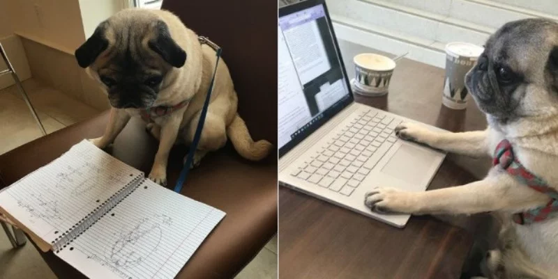 Dogłębna analiza notatek
